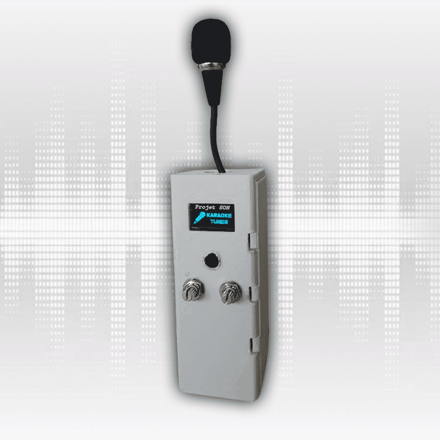 Karaoke Tuner β Autotune Box